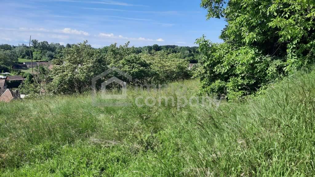 Sommerpreispreis! 4392 m² Grund in Thallern - Ansicht 2