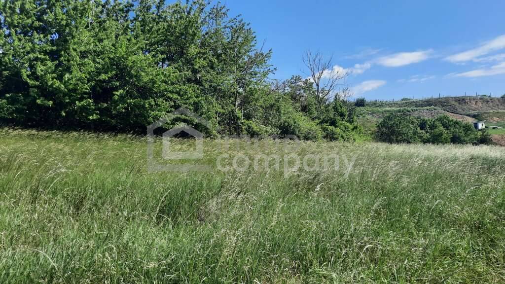 Sommerpreispreis! 4392 m² Grund in Thallern - Ansicht 3