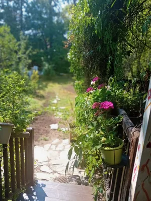 6-Zimmer-Haus mieten in Mödling – 200 m², € 3.000 – Bild 6 von 39