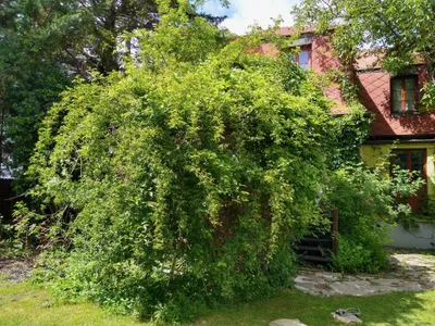 6-Zimmer-Haus mieten in Mödling – 200 m², € 3.000 – Bild 5 von 39