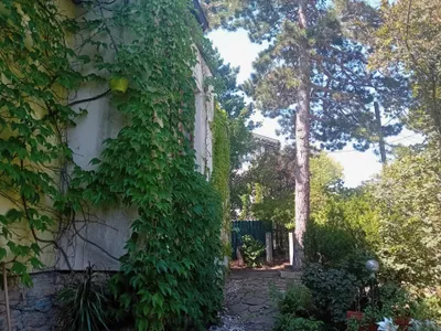 6-Zimmer-Haus mieten in Mödling – 200 m², € 3.000 – Bild 8 von 39