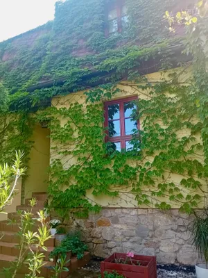6-Zimmer-Haus mieten in Mödling – 200 m², € 3.000 – Bild 34 von 39