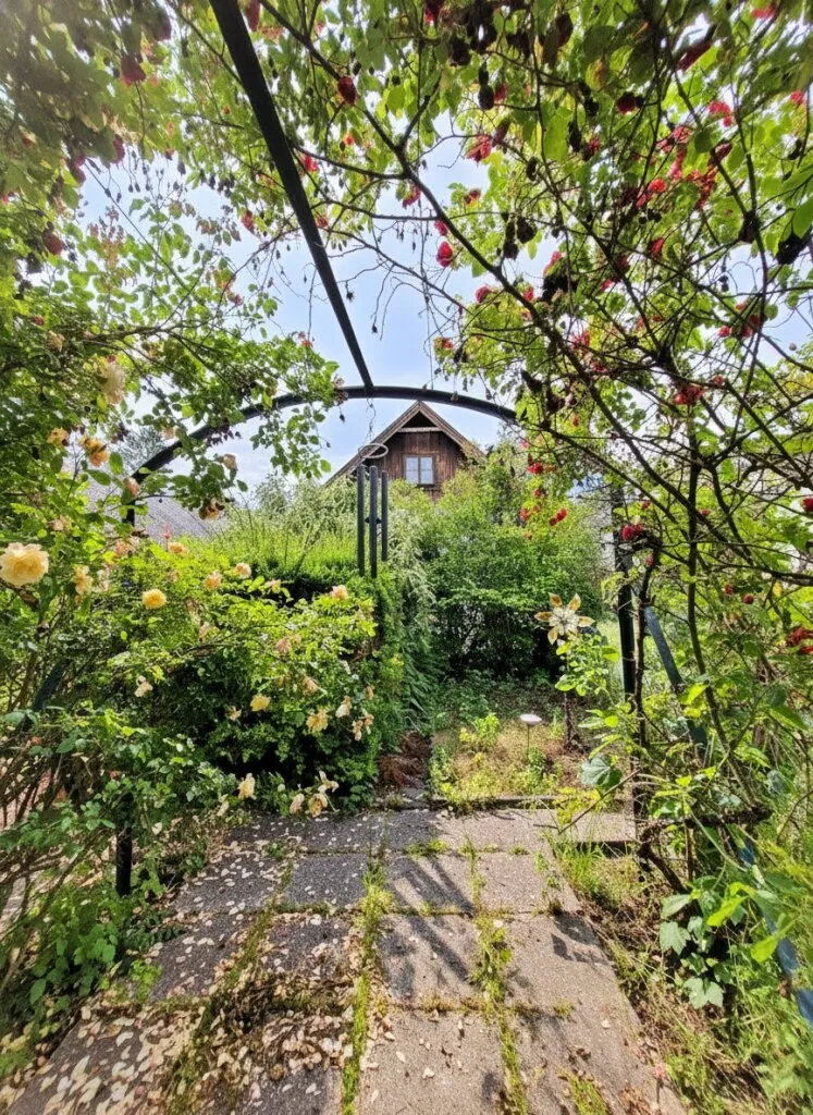 Mehr ist Mehr - Understatement vor den Toren Wiens - Ansicht 3