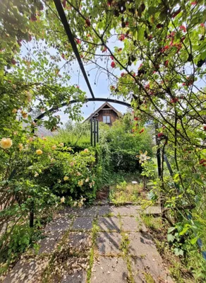 Gewerbeimmobilie kaufen in Mistelbach – 265 m², € 330.000 – Bild 3 von 27