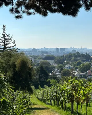 Immobilie kaufen in Wien – 30 m², € 650.000 – Bild 15 von 30