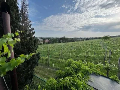 Immobilie kaufen in Wien – 30 m², € 650.000 – Bild 8 von 30