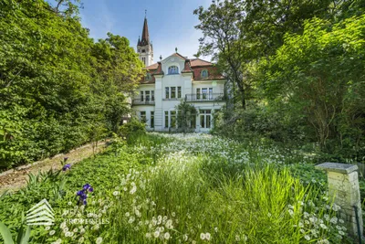 30-Zimmer-Gewerbeimmobilie kaufen in Wien – 793 m², € 11.800.000 – Bild 1 von 51