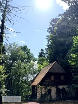 Haus kaufen in Deutschlandsberg – 6 763 m², € 299.000 – Bild 13 von 17