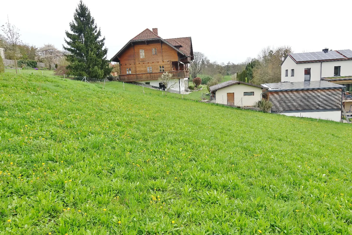 4 TRAUMHAFTE BAUGRUNDSTÜCKE AN DER STEYRER STADTGRENZE - Ansicht 2