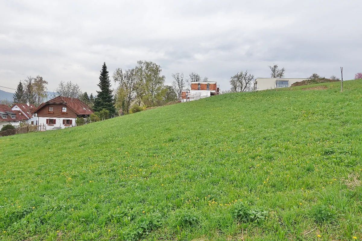 4 TRAUMHAFTE BAUGRUNDSTÜCKE AN DER STEYRER STADTGRENZE - Ansicht 3