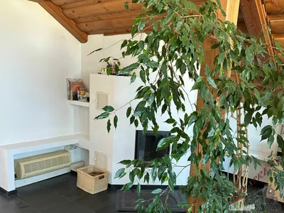 2-Zimmer-Wohnung kaufen in Salzburg Stadt – 66 m², € 395.000 – Bild 3 von 4
