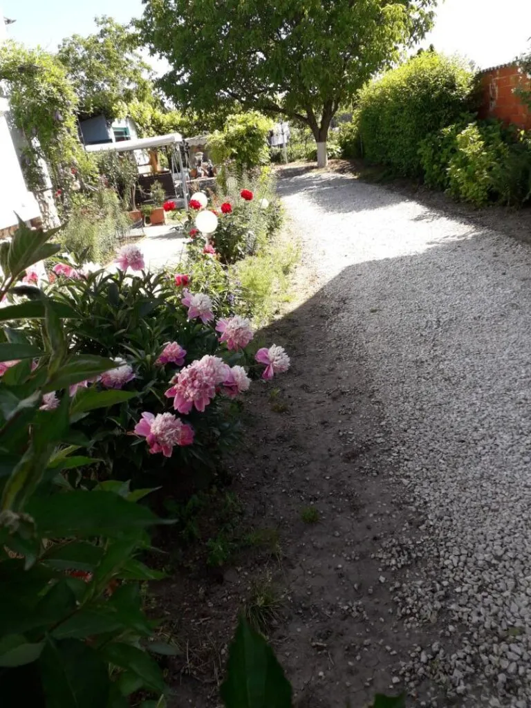 Haus – Farád, Győr-Moson-Sopron vármegye - Ansicht 2