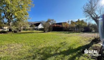 8-Zimmer-Haus kaufen in Kirchdorf an der Krems – 256 m², € 479.000 – Bild 3 von 17