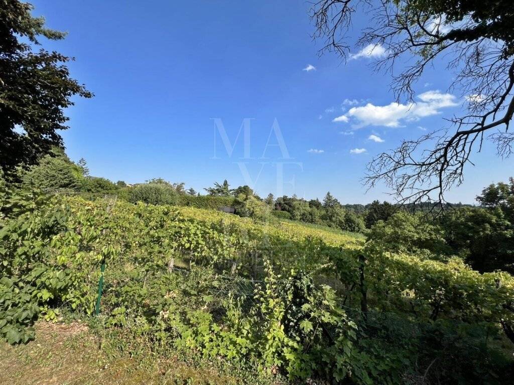 Einfamilienhaus mit über 1000 m² Eigengarten inmitten der Weinberge – pohled 2