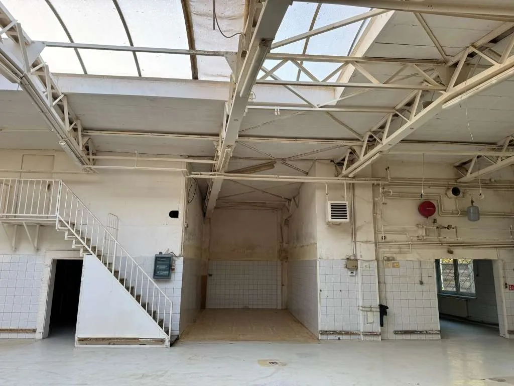 Gewerbe-/ Lagerhalle in Zentrumslage Linz - Ansicht 3