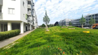 1-Zimmer-Wohnung mieten in Wien – 12,5 m², € 576 – Bild 5 von 16