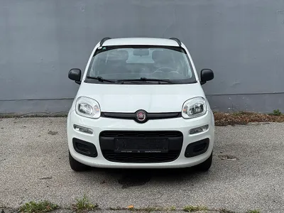 Fiat Panda 1,2*NEUES PICKERL*NEUES SERVICE*NEUE BREM...
