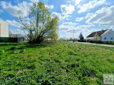 Grundstück kaufen in Eisenstadt - Umgebung – 772 m², € 245.000 – Bild 3 von 8