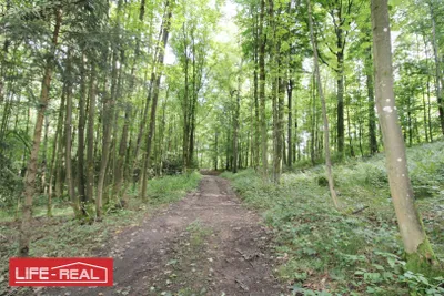 Grundstück kaufen in Linz – 27 669 m², € 221.000 – Bild 5 von 10