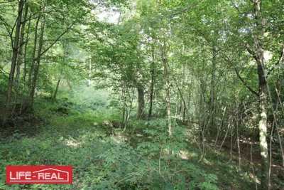 Grundstück kaufen in Linz – 27 669 m², € 221.000 – Bild 3 von 10