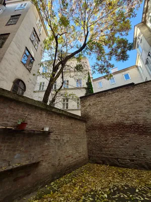 2-Zimmer-Wohnung kaufen in Wien – 43 m², € 259.000 – Bild 24 von 29