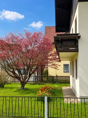 8-Zimmer-Gewerbeimmobilie kaufen in Vöcklabruck – 190 m², € 429.000 – Bild 3 von 14