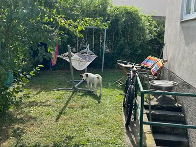3-Zimmer-Wohnung mieten in Korneuburg – 60 m², € 900 – Bild 8 von 9