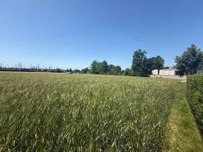 Immobilie mieten in Wien – 3 000 m², € 8.280 – Bild 3 von 5