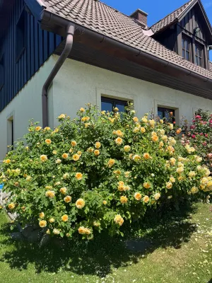 8-Zimmer-Haus kaufen in Sankt Pölten Land – 192 m², € 850.000 – Bild 6 von 15