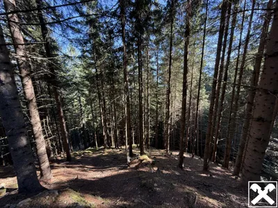 Grundstück kaufen in Spittal an der Drau – 19 045 m², € 34.027 – Bild 1 von 3