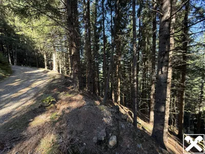 Grundstück kaufen in Spittal an der Drau – 19 045 m², € 34.027 – Bild 3 von 3