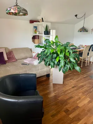 4-Zimmer-Wohnung kaufen in Sankt Johann im Pongau – 88 m², € 365.000 – Bild 1 von 12