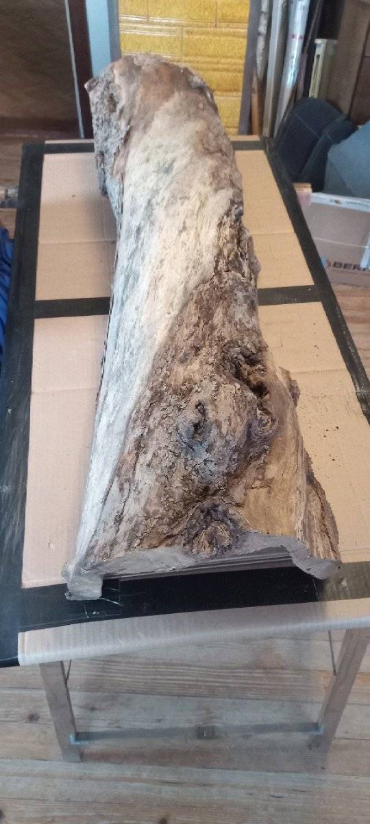Eibenholz Stamm / Bohle (getrocknet) fr Epoxidharz / Drechsler,  80,-  (8225 Pllau) - willhaben