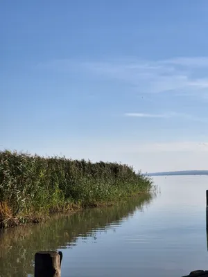 2-Zimmer-Wohnung kaufen in Neusiedl am See – 75 m², € 499.000 – Bild 19 von 19