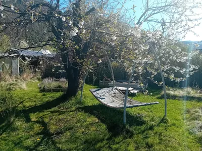 Immobilie kaufen in Bruck-Mürzzuschlag – 450 m², € 22.000 – Bild 5 von 12
