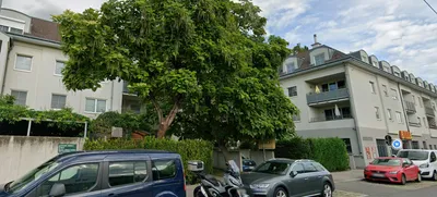 Wohnung mieten in Wien – 42 m², € 779 – Bild 11 von 11