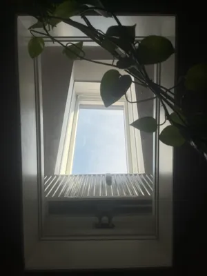 3-Zimmer-Wohnung mieten in Graz – 101 m², € 732 – Bild 7 von 17