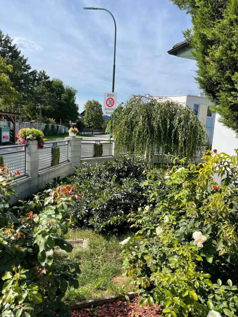 Exklusiver Bungalow mit Pool in 2603 Felixdorf - stilvolles Wohnen am Speckgürtel von Wien - Ansicht 3