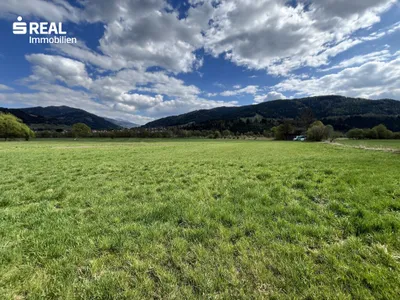 Immobilie kaufen in Murau – € 424.035 – Bild 4 von 16