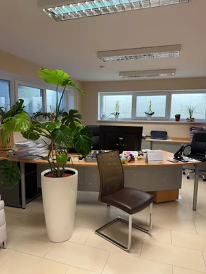 4-Zimmer-Haus kaufen in Zell am See – 209 m² – Bild 9 von 18