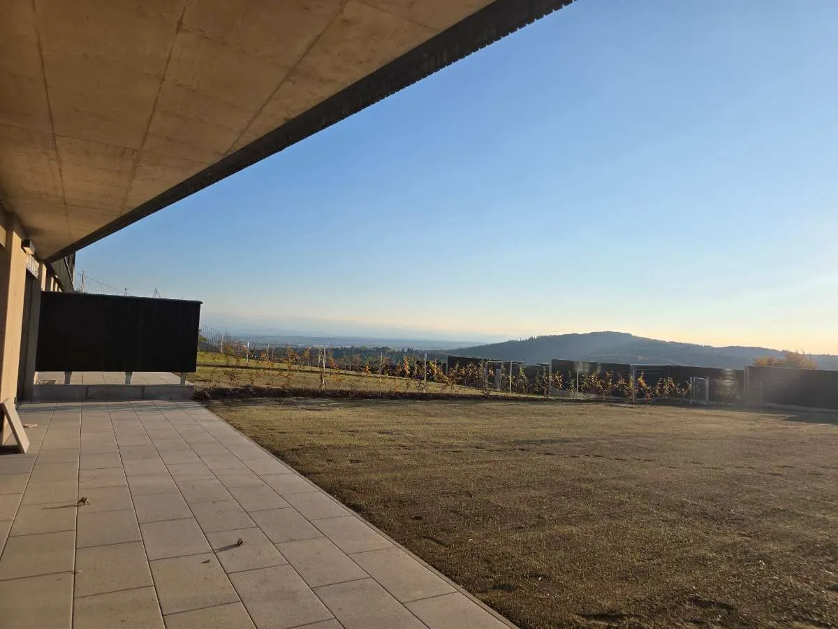 Wohnung – Linz - Ansicht 2