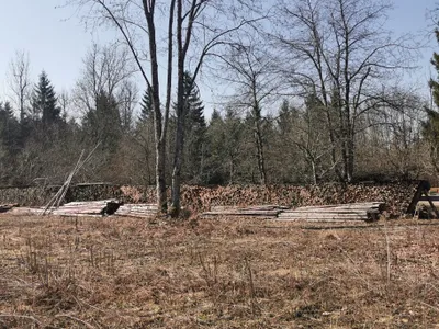 Grundstück kaufen in Villach Land – 1 584 m², € 349.000 – Bild 6 von 20