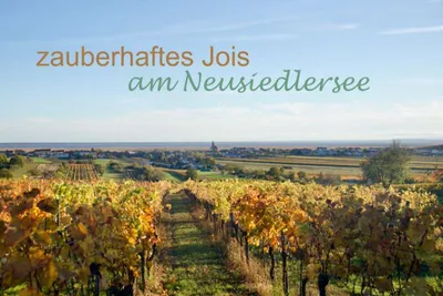 4-Zimmer-Haus kaufen in Neusiedl am See – 220 m², € 1.380.000 – Bild 27 von 31