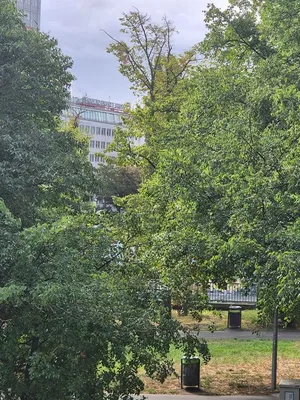 3-Zimmer-Wohnung mieten in Wien – 72 m², € 1.690 – Bild 17 von 17