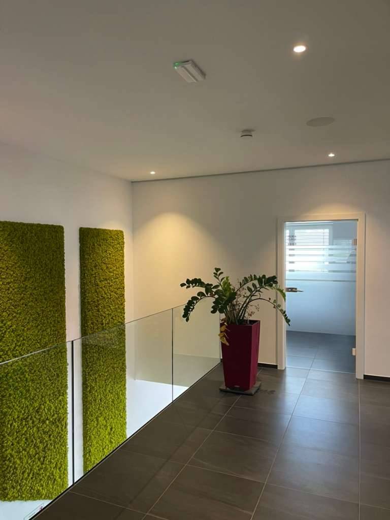 Moderne Gewerbefläche für Büro Kanzlei oder Ordinationsflächen - Ansicht 3