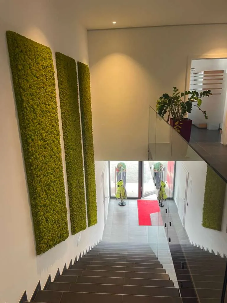 Moderne Gewerbefläche für Büro Kanzlei oder Ordinationsflächen - Ansicht 2