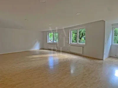 sehr schöne 6-Zimmer-Wohnung 222m² mit Garten, Terrasse & Garage in 1180 Wien zu mieten! – Bild 3