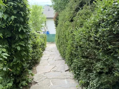 2-Zimmer-Haus kaufen in Freistadt – 44,8 m², € 205.000 – Bild 18 von 27