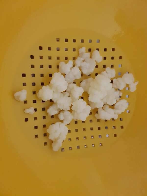 Bio-Milchkefir