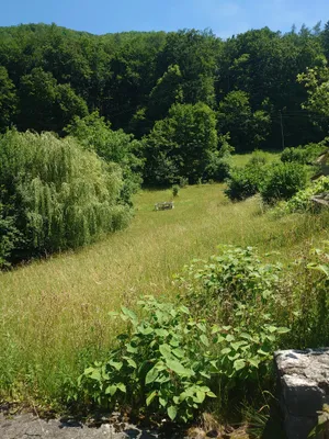 Grundstück kaufen in Steyr-Land – 600 m², € 138.000